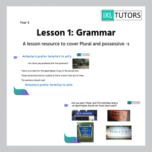 Year 4 English: Plural and possessive -s